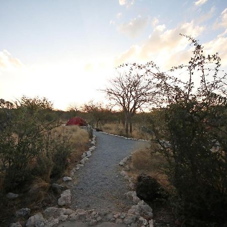 Etosha Village Campsite Okaukuejo Exterior photo