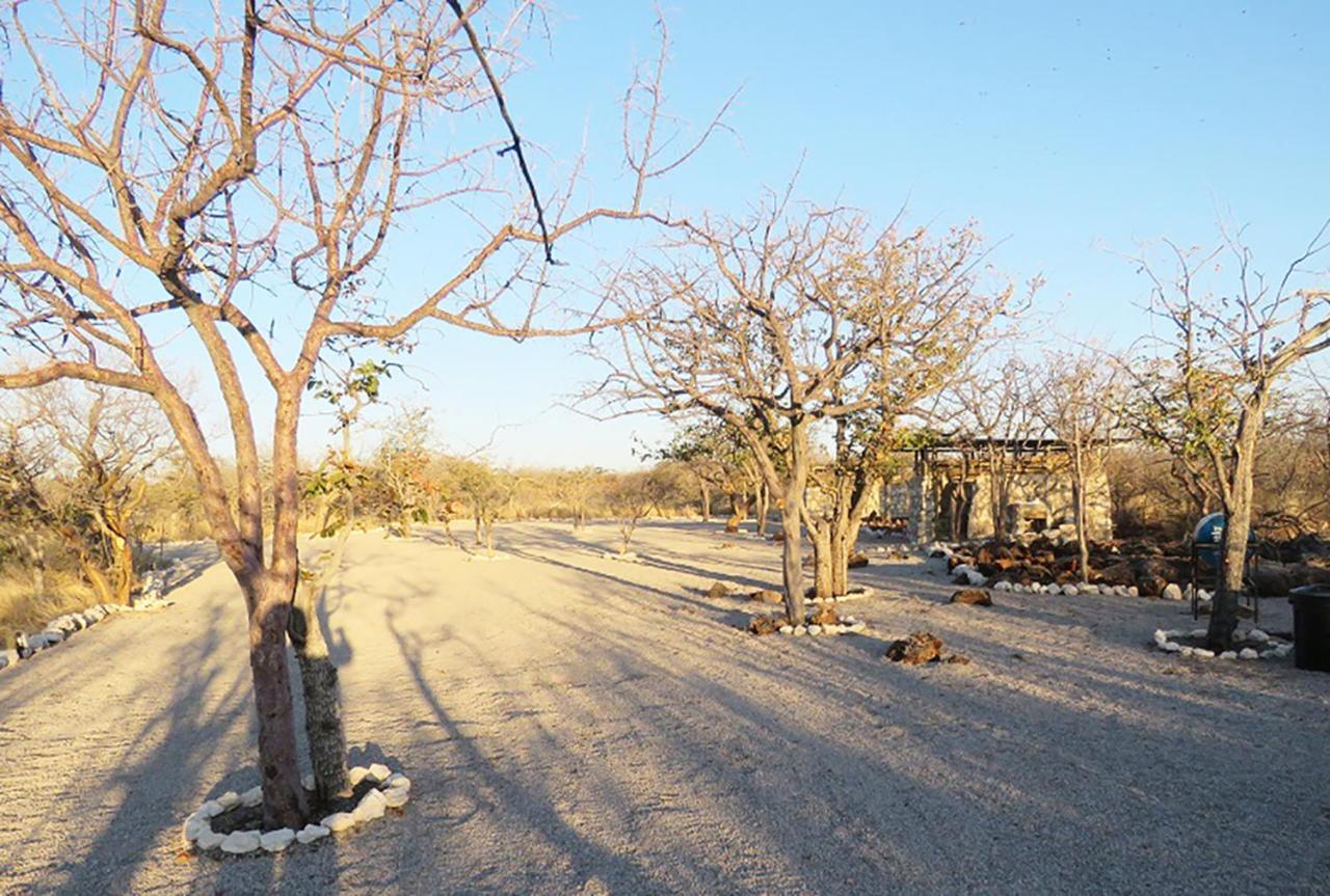 Etosha Village Campsite Okaukuejo Exterior photo