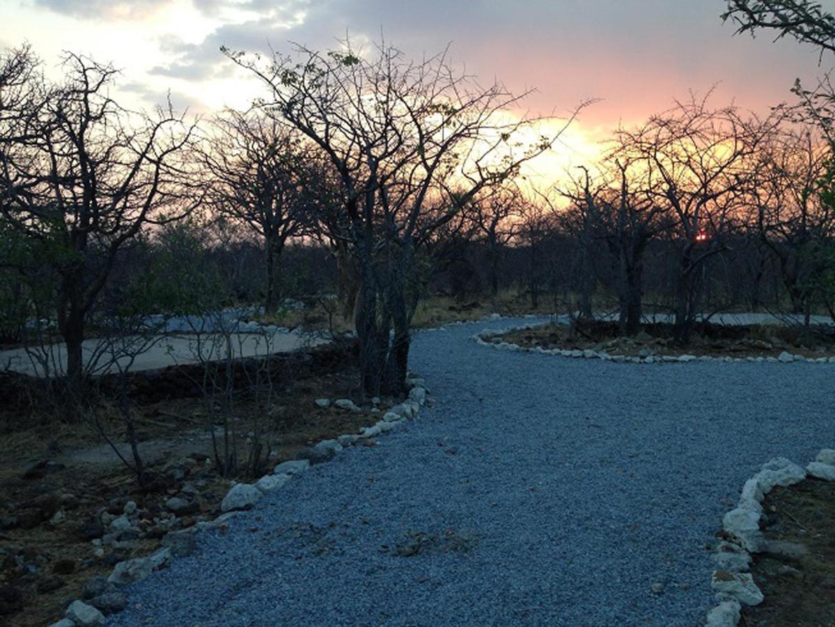 Etosha Village Campsite Okaukuejo Exterior photo