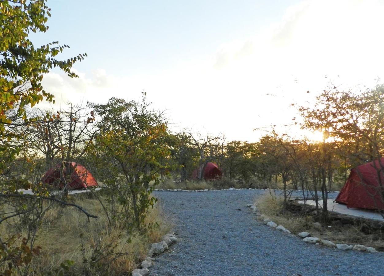 Etosha Village Campsite Okaukuejo Exterior photo