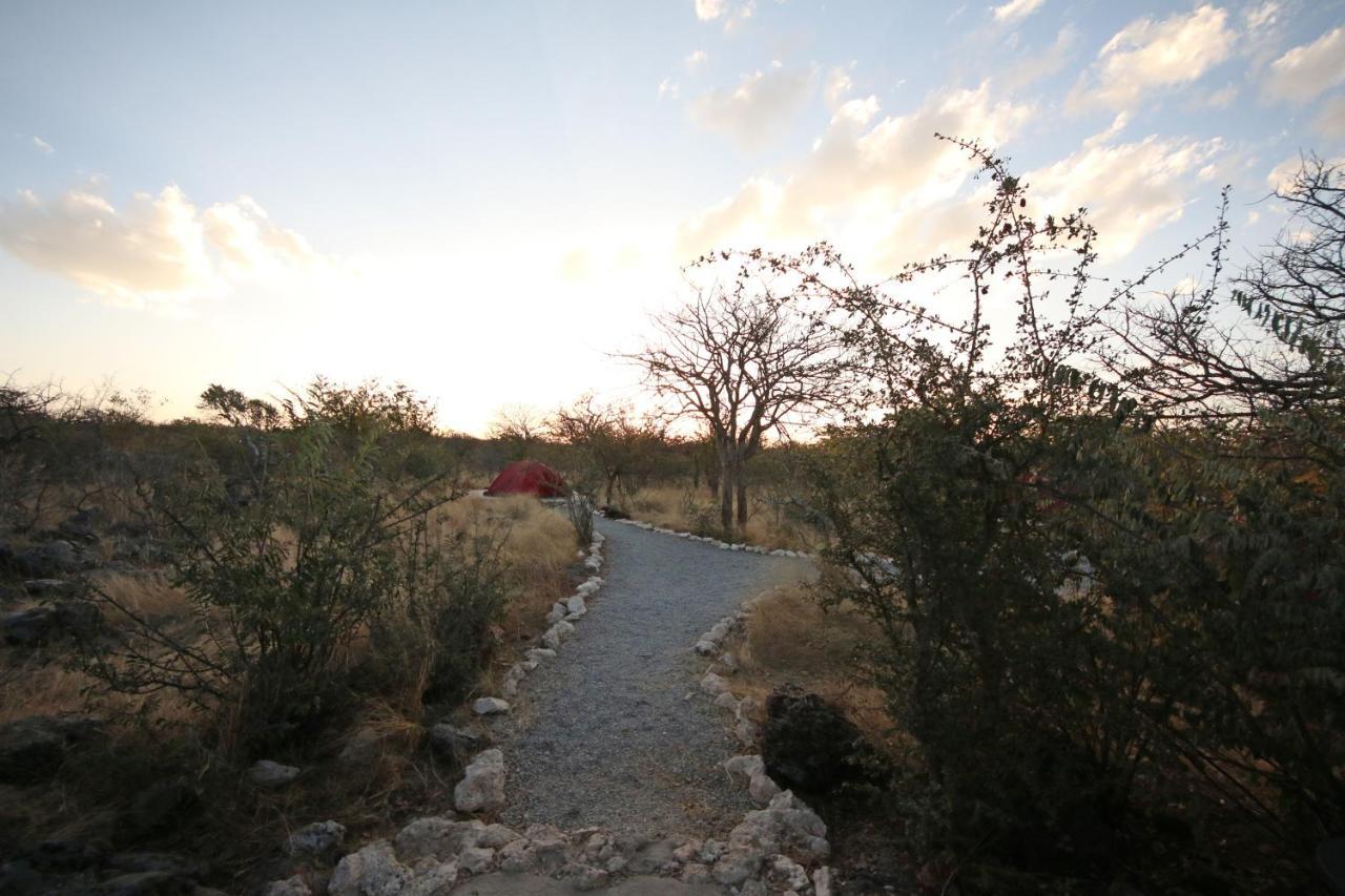 Etosha Village Campsite Okaukuejo Exterior photo