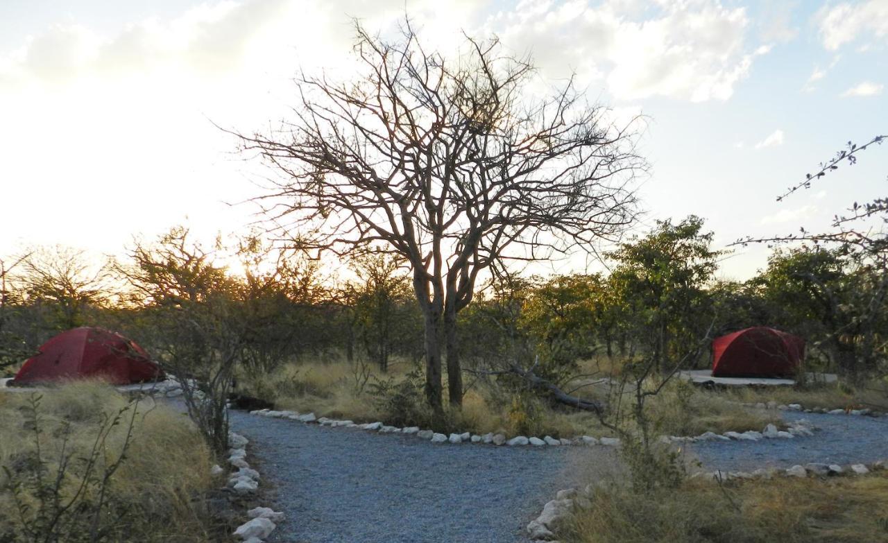 Etosha Village Campsite Okaukuejo Exterior photo